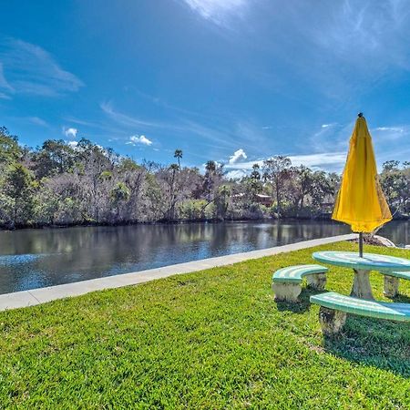 Withlacoochee River House With Dock And Kayaks! Yankeetown Zewnętrze zdjęcie